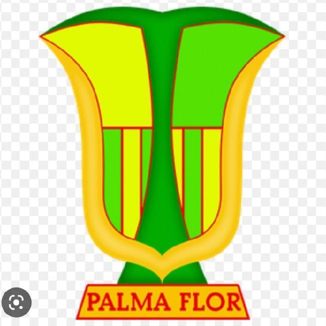 Atlético Palmaflor