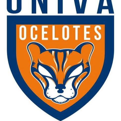 OCELOTES