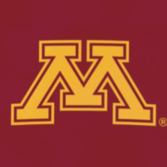 MINNESOTA GOLDEN GOPHERS