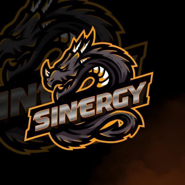 SINERGY