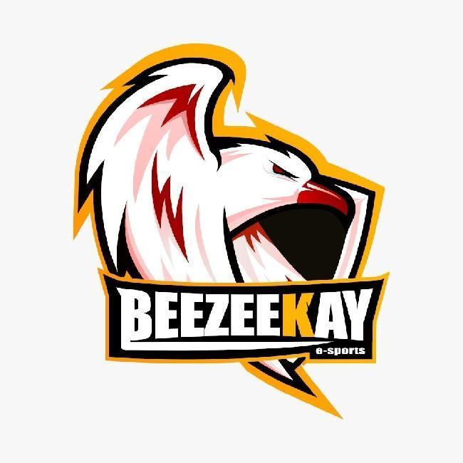 BEEZEEKAY ESPORTS