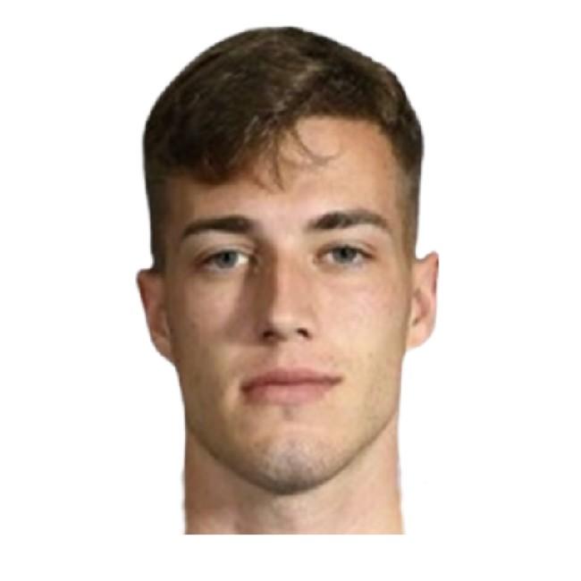 Luka Sučić