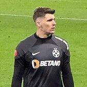 Stefan Tarnovanu