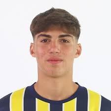 Yusuf Akcicek