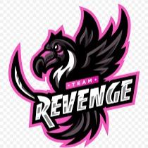 TEAM REVENGE