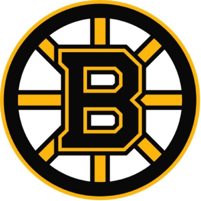 BOSTON BRUINS