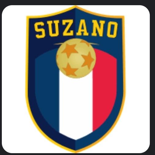 SUZANO CPA