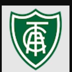 AMERICA MINEIRO