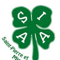 A.S. Ilienne Amateur