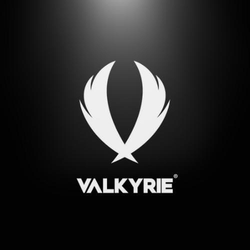🇧🇷 VLK