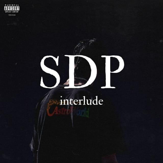 🇧🇷 SDP