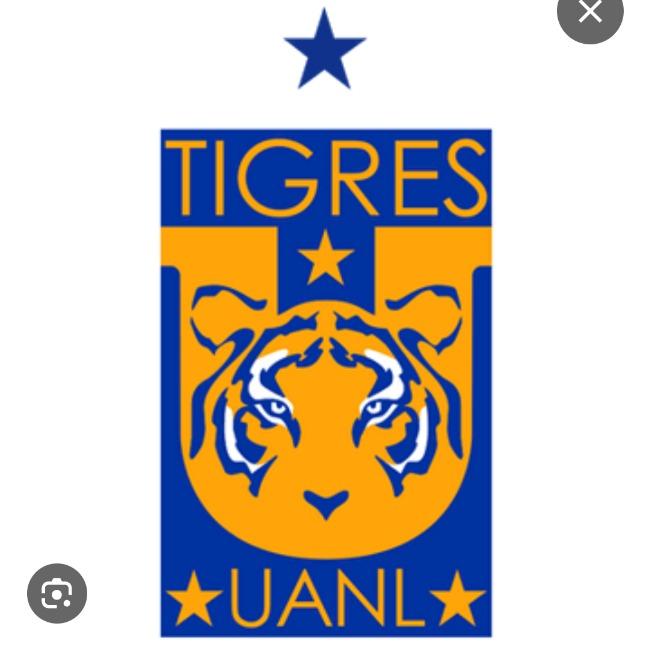 Tigres UAM