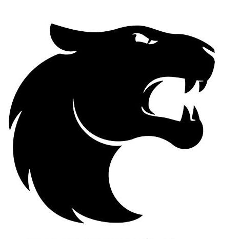 Furia Esports