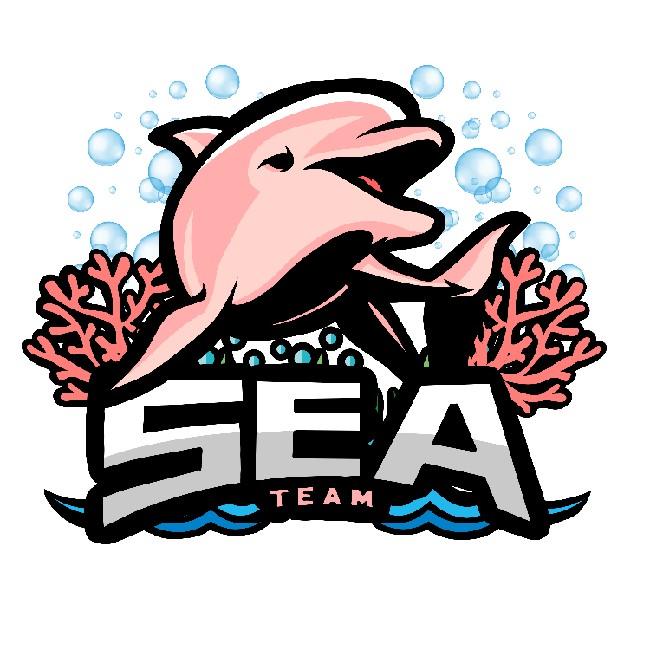 SEA TEAM