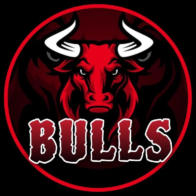 Bulls