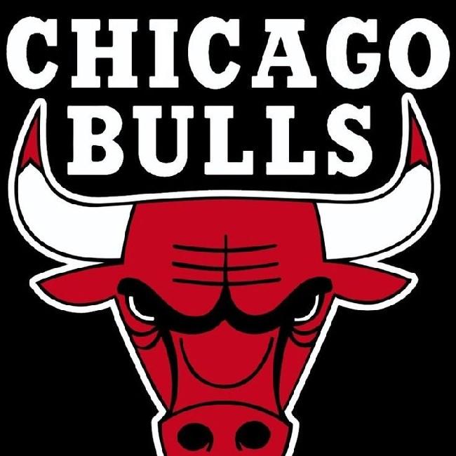 Chicago bulls