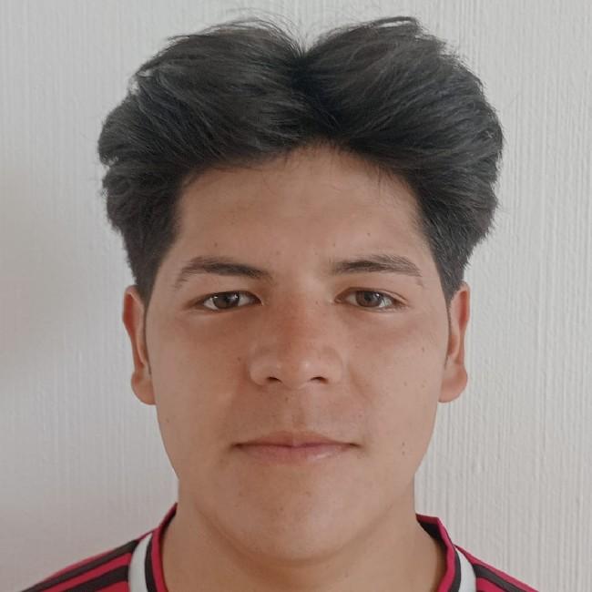 Jesus Ricardo Ramirez resendiz