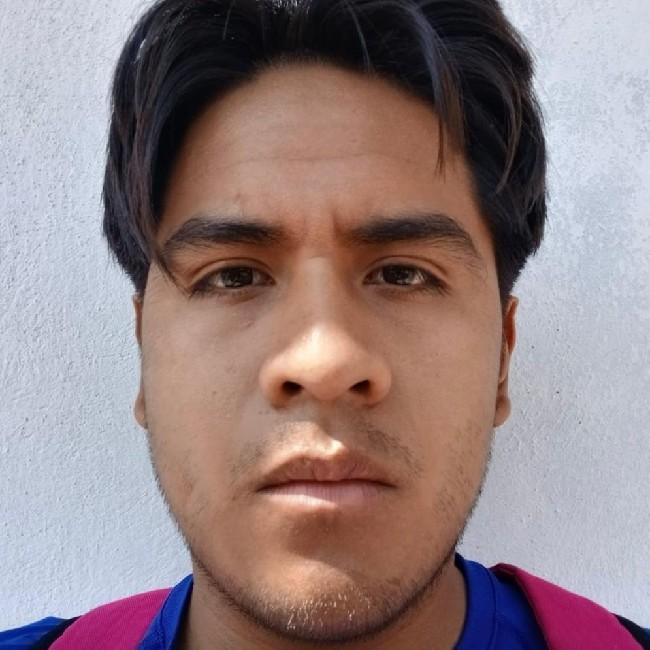 Ulises Domínguez Pérez