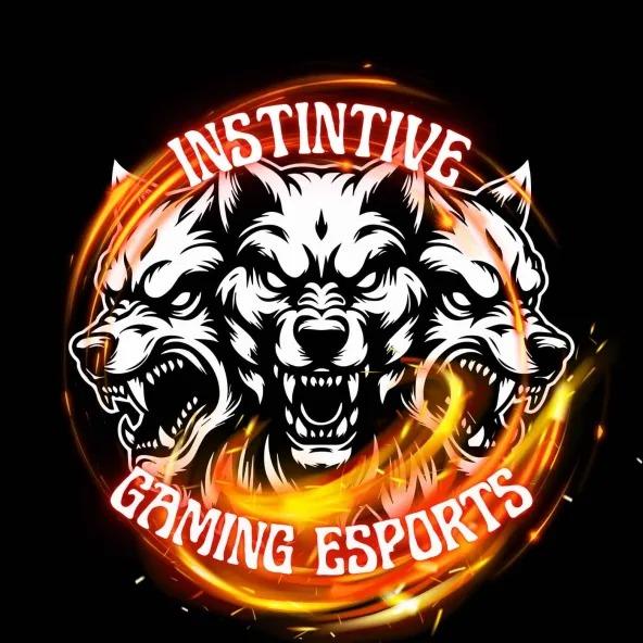 Instintive Gaming