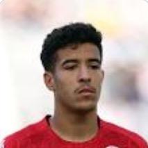 Mohamed Wael