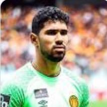 Mohamed Sedki