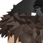E_F5