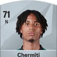 N Chermiti