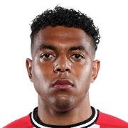 Donyell Malen