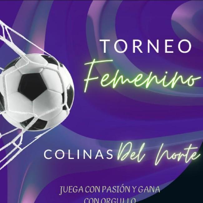 Liga de futbol Femenino( 2 )2024-2025