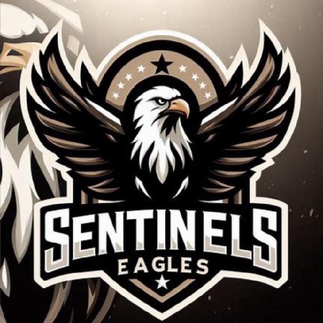 SENTINELS EAGLES