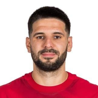 Aleksandar Mitrović