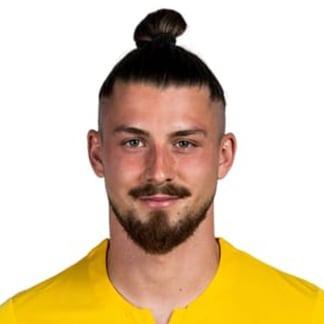 Radu Drăgușin