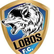LOBOS
