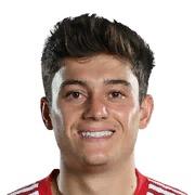 Daniel James