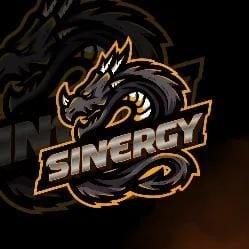 SINERGY