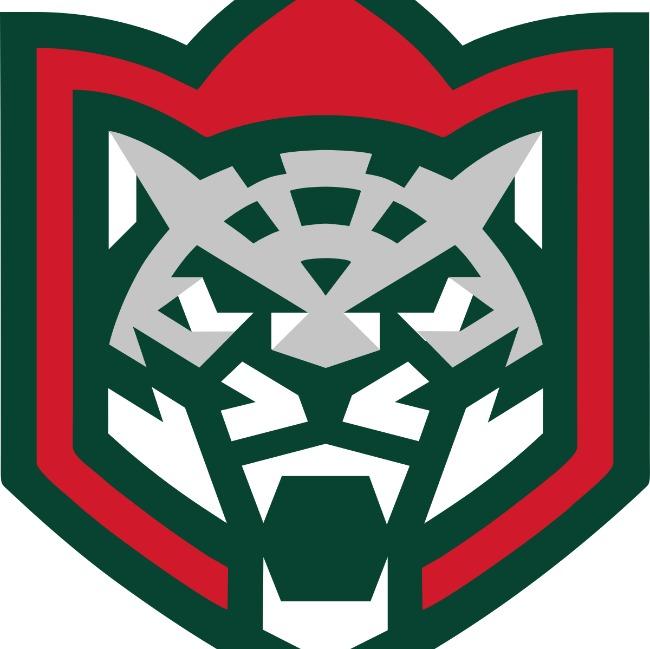 Ак Барс