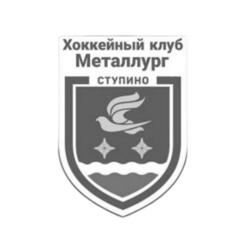 Металлург Ступино
