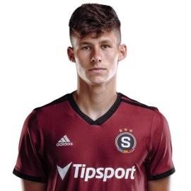 Martin Vitik