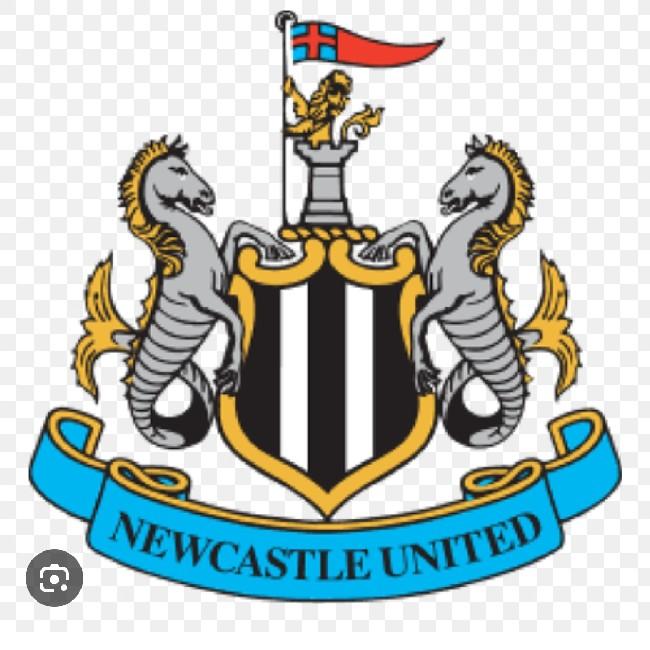 M Newcastle