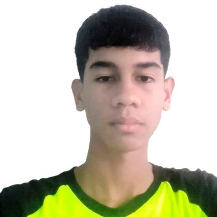 JOHANN DAVID PINEDA LOPEZ