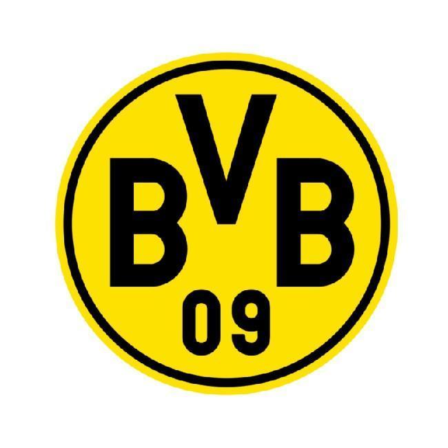 BORUSSIA DORTMUND /PEDRO