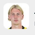 J. Brandt