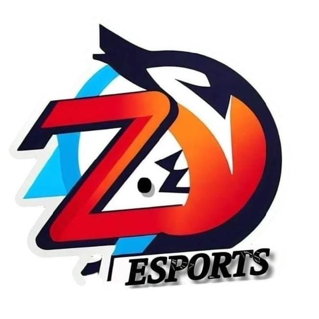 Zl E-SPORTS