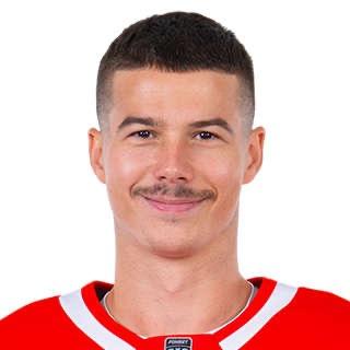 Николай Голдобин