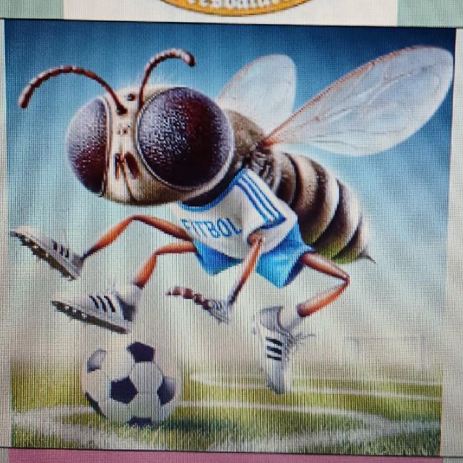 Mosqui FC