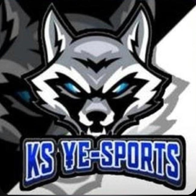 KS ESPORTS