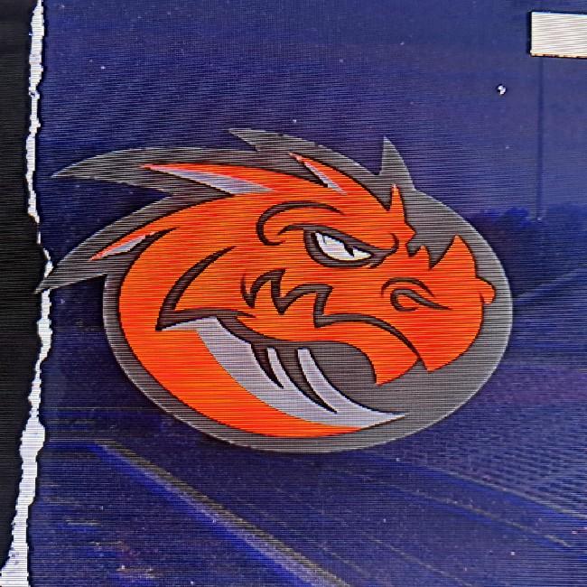 Plymouth Univ Dragons