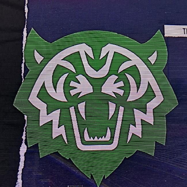 New York Bobcats