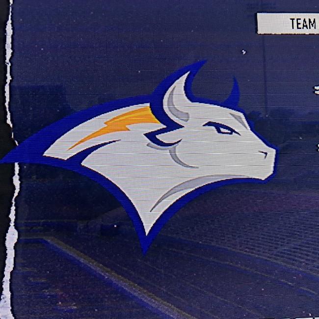London State Bulls