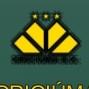 Criciúma